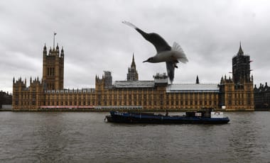 Britain’s defeated Tory MPs struggle to adjust to civilian life