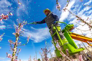 EU farm plan: More cash for disaster relief and looser green rules