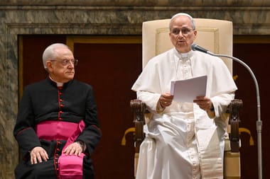 Pope Leo offers Vatican for Ukraine peace talks
