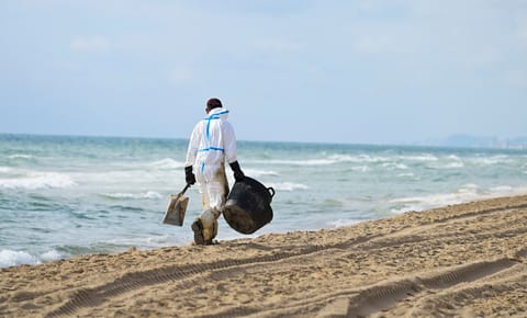 Europe likely to miss most green targets for 2030