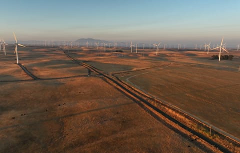Meet the Czech Millennial Who’s Building a Utopia in the California Hayfields