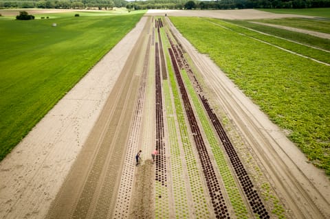 New EU farm plan seeks to put national capitals at the helm