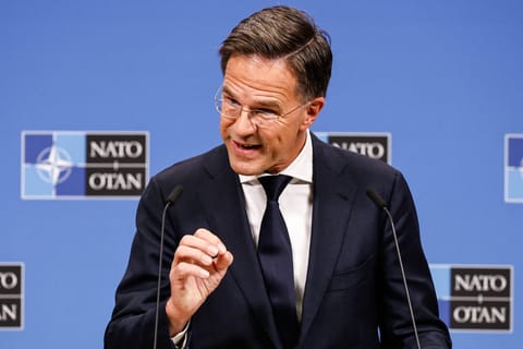 Ukraine war poses threat to America, NATO chief stresses in message to Trump
