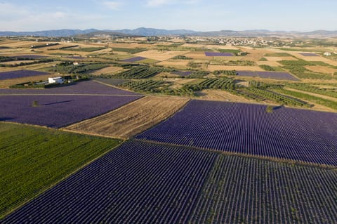 European prosecutors indict 100 in Greek farm subsidy fraud