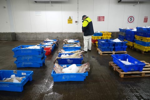 UK rejects EU plan to tie defense pact to fishing quotas