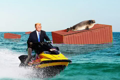 Penguins, seals and colonies: 5 mind-boggling tariffs in Trump’s ‘liberation’ plan