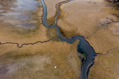 Brussels asks EU countries to use less water